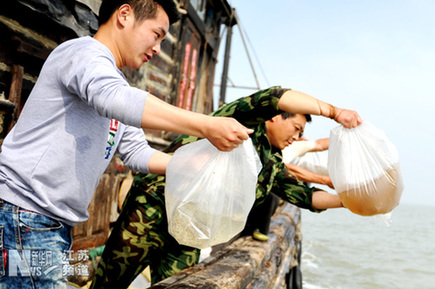 赣榆：亿尾东方对虾幼苗投放海州湾