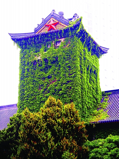 珍藏的