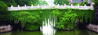 珍藏的