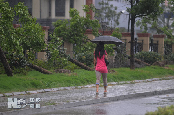 “海葵”袭苏州