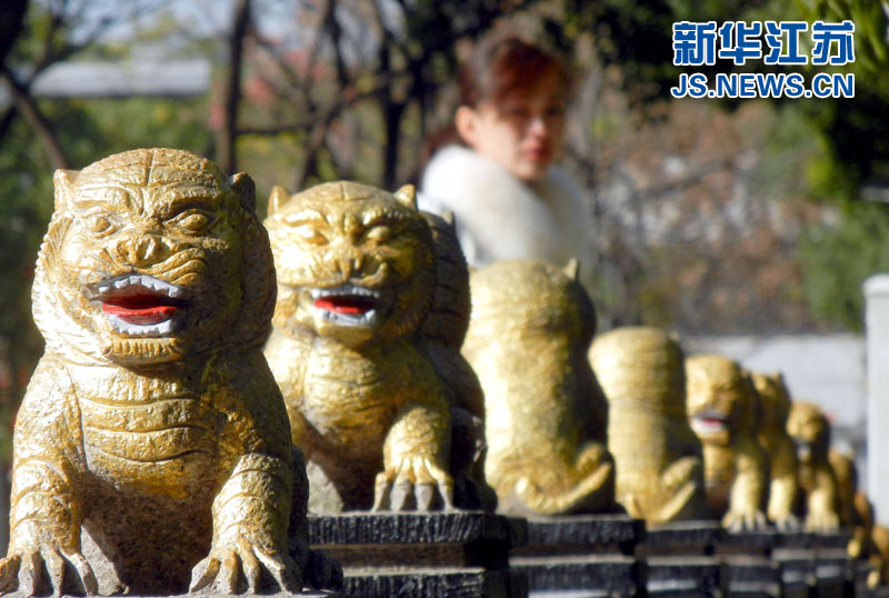 苏州街头惊现“土豪金”石狮子