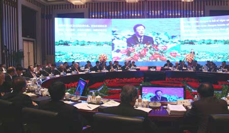 2011江苏发展国际咨询会议在宁开幕