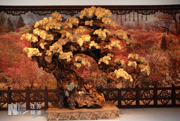 中国梅花艺术中心落户南京