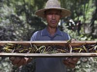 总投资6000万美元 亚什兰常州胶衣工厂投产