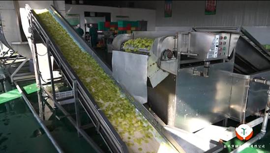 江西乐平绿乐食品有限公司：扎根农业的绿色亲农企业