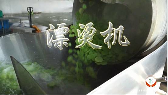 江西乐平绿乐食品有限公司：扎根农业的绿色亲农企业