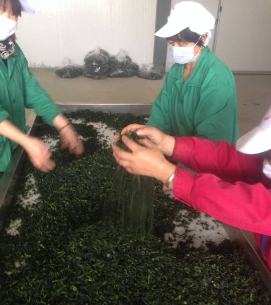 江西乐平绿乐食品有限公司：扎根农业的绿色亲农企业