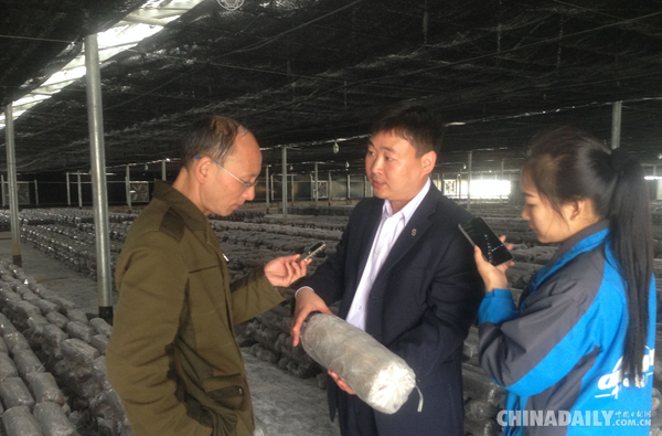 中节能（乐平）光伏——高科技光伏产业引领绿色农业崛起