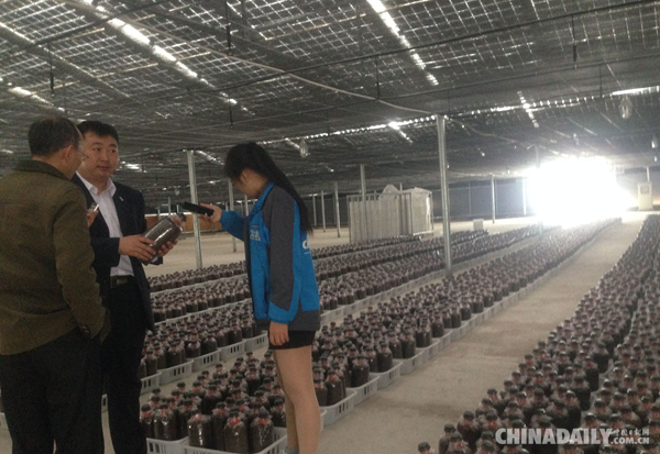 中节能（乐平）光伏——高科技光伏产业引领绿色农业崛起