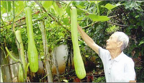 江西景德镇：“三大主牌”撑起农业发展一片天