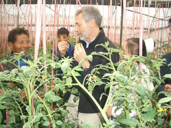 江西新干：新绿农业打造无公害蔬菜示范基地