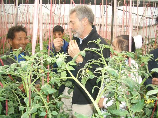 江西新干：新绿农业打造无公害蔬菜示范基地