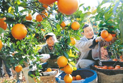 在时间的湖上，传奇永续(组图)