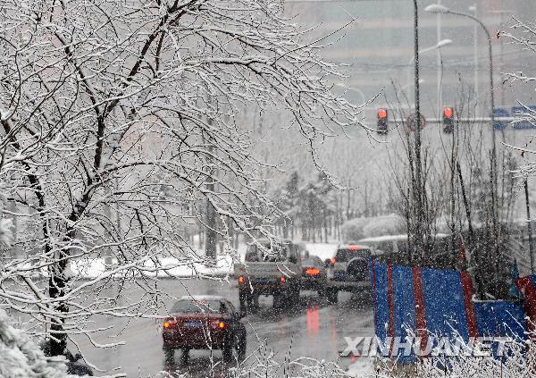 辽宁四月飞雪