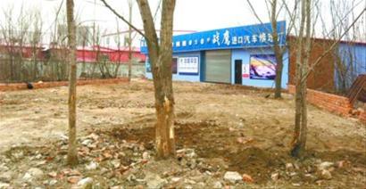 为给汽修厂开路 挖倒水源地绿树