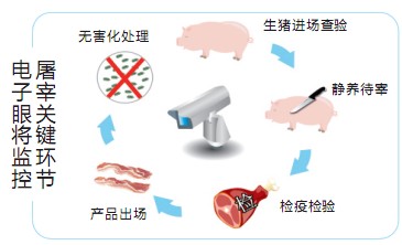 沈阳屠宰场将安电子眼监控 市民吃上“放心肉”