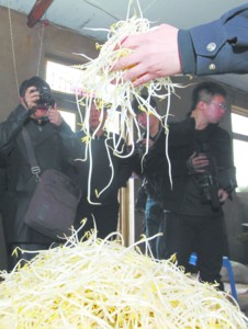 沈阳市场近1/3豆芽为“毒豆芽”