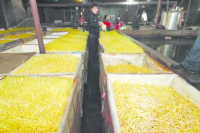 沈阳市场近1/3豆芽为“毒豆芽”