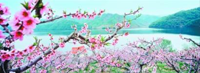 丹东外贸出口跃居全省第四