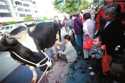内蒙古奶协理事:人人有牛奶喝比牛奶标准更重要