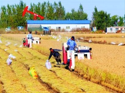 辽宁粮食生产实现“九连丰”