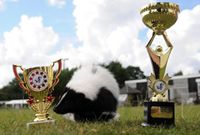 大连最低工资标准下半年将上调13%