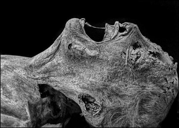 2013中国企业500强 出炉 沈阳两家企业上榜