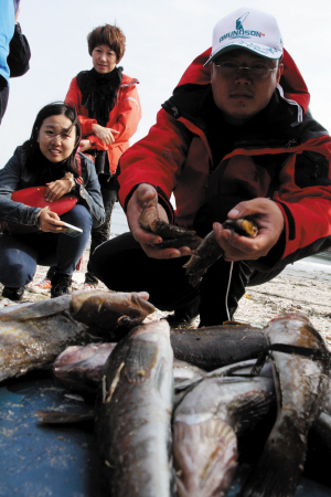 5月份什么海鲜最肥_云什么海鲜_海鲜自助餐