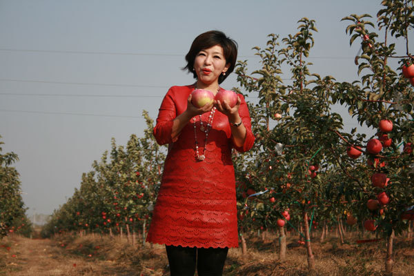 康平县寒富苹果采摘节主题歌诞生