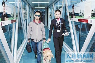 导盲犬莎莎搭乘南航航班回湘“省亲”