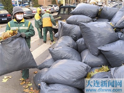 大连：北风那个吹……（图）