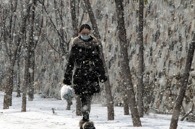 天空晴朗雪花飞 原来是冷流飘雪