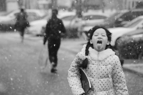 大连：大雪节气下大雪 昨天你堵在哪儿（图）