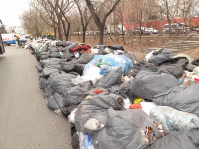 数百个垃圾袋竟顺着道路排