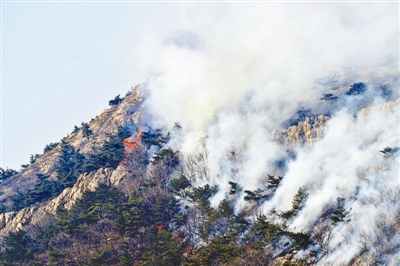 大连大黑山突发火灾致5人死亡 300余人前往扑救