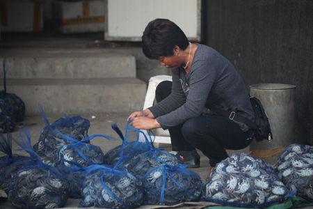 辽宁盘山打响“河蟹产业第一县”品牌