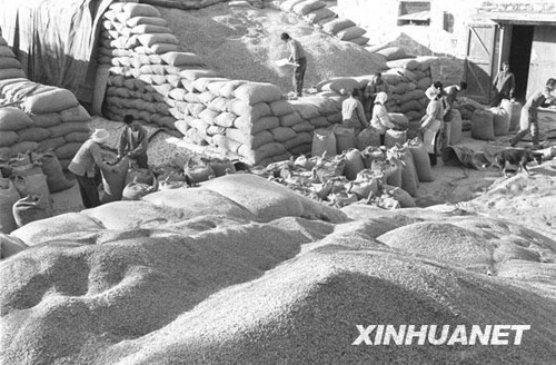 我国耕地保护土地利用经历60年沧桑巨变
