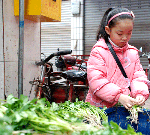 凑起压岁钱做本 小学生当菜贩体验生活