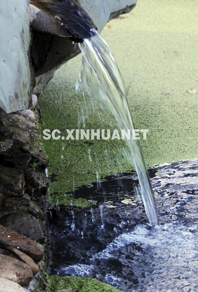 年轻的眼睛看世博:城市中的活水公园