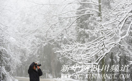 成都喜降瑞雪