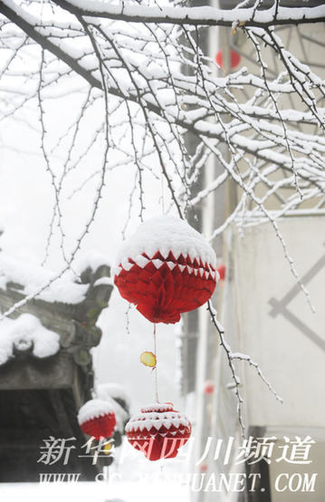 成都喜降瑞雪
