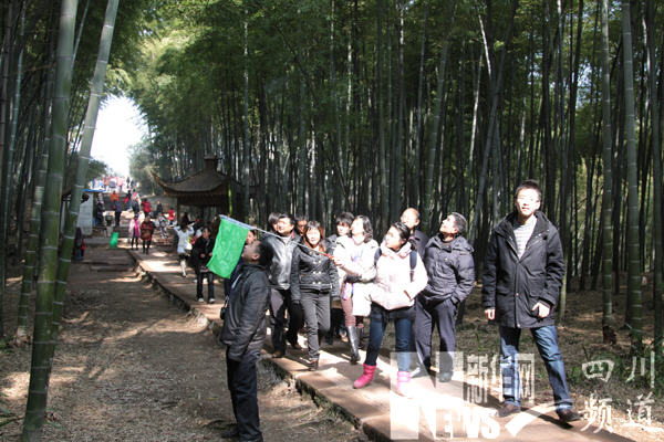 蜀南竹海低碳生态旅游吸引游客