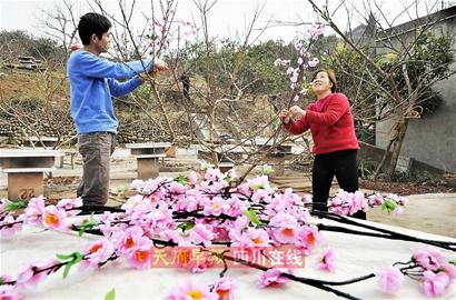 龙泉山桃花迟迟不开 农家乐无奈树上绑假花