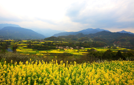 峨眉山特色