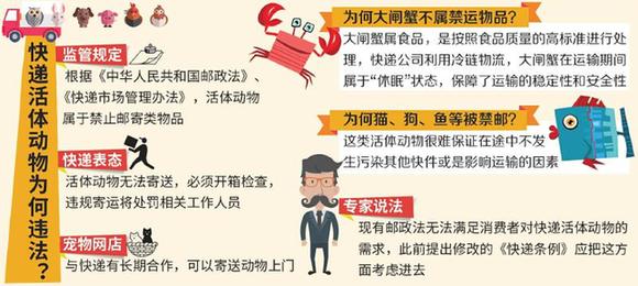 网购金鱼次日到货快递寄活物违法 活体动物属禁邮物品