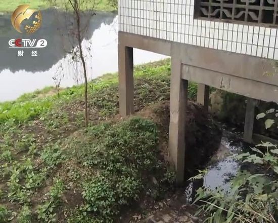 乐山大佛脚下垃圾成山无人负责 各部门互相推诿
