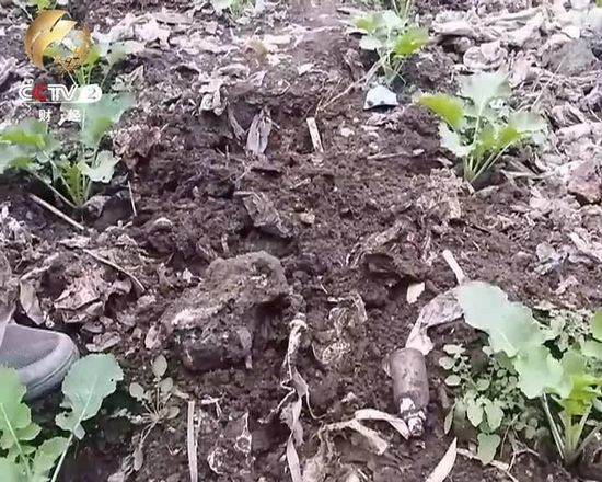 乐山大佛脚下垃圾成山无人负责 各部门互相推诿