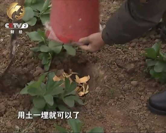 乐山大佛脚下垃圾成山无人负责 各部门互相推诿
