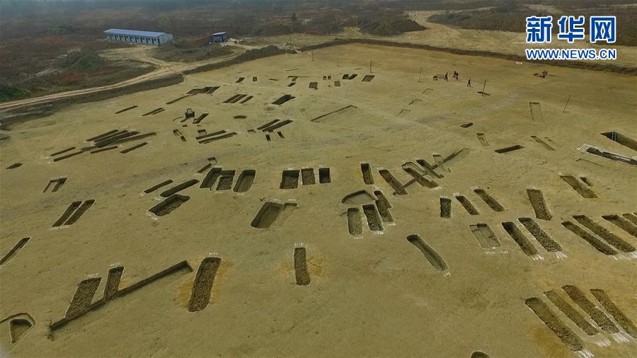 成都发现春秋战国大型船棺墓群 如地下青铜器宝库