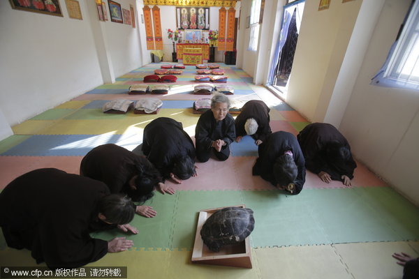 2013亚洲教育论坛年会收获五项成果